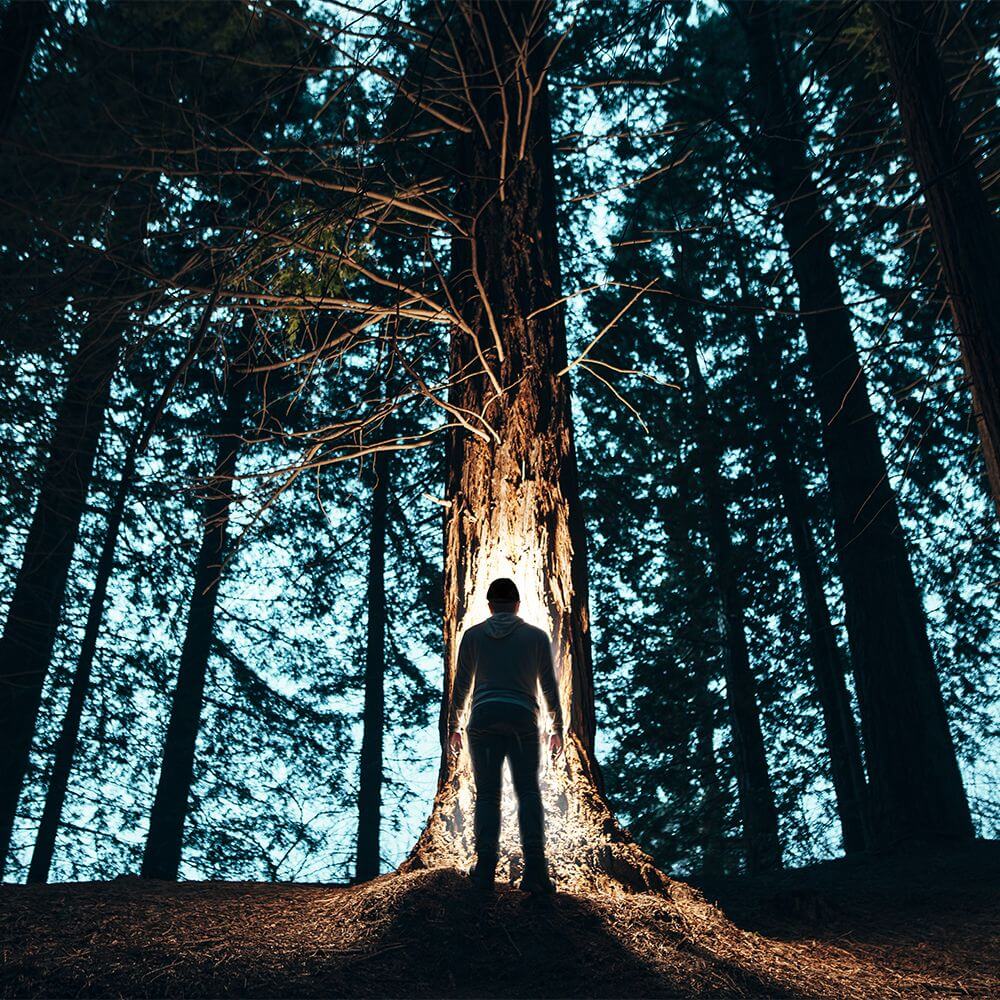 POWERCAP 35/55 Fleece LED Beanie Hat With Lights