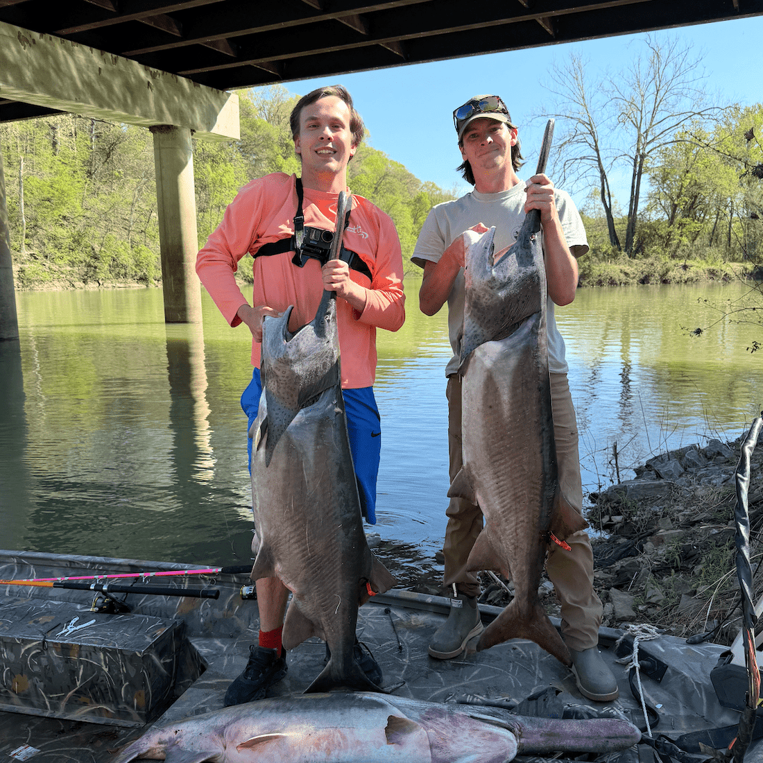 Tournament Series Pink Spinning Rod